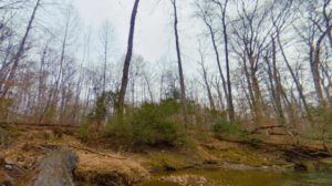 South Run Stream Valley Park Lorton Station VA